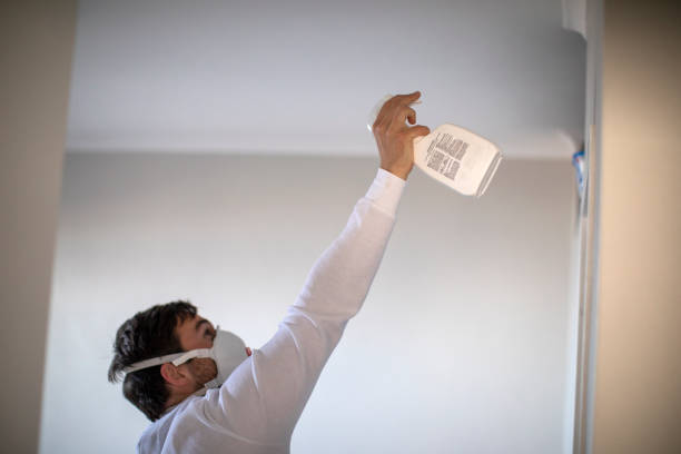 Best DIY Mold Remediation Support Services in Shorewood, MN